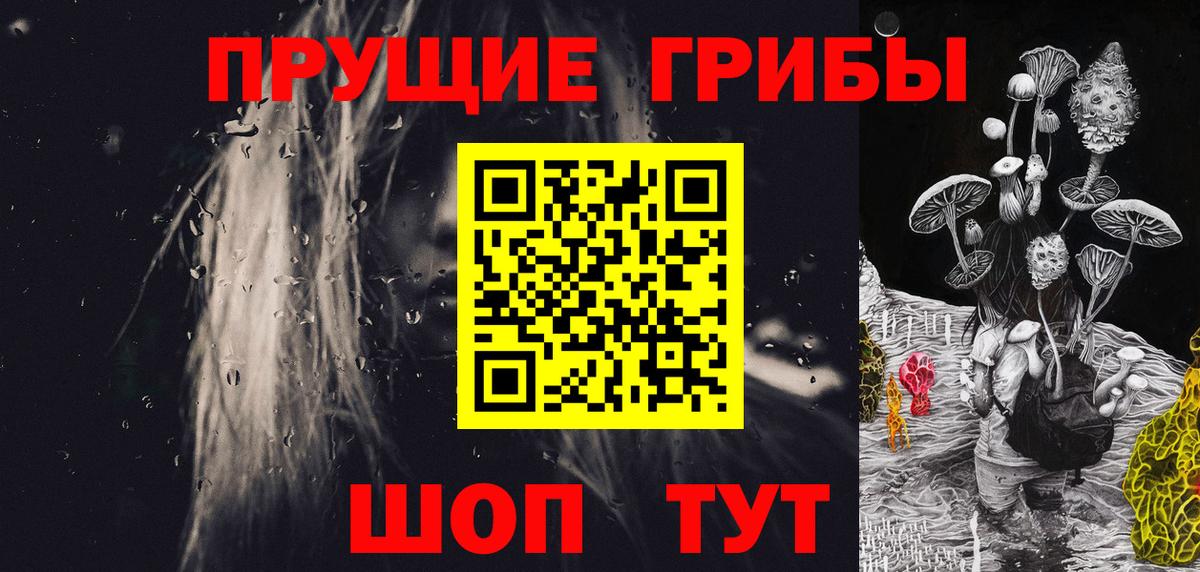 Галлюциногенные грибы GOLDEN TEACHER  Вход с VPN  Волгодонск 