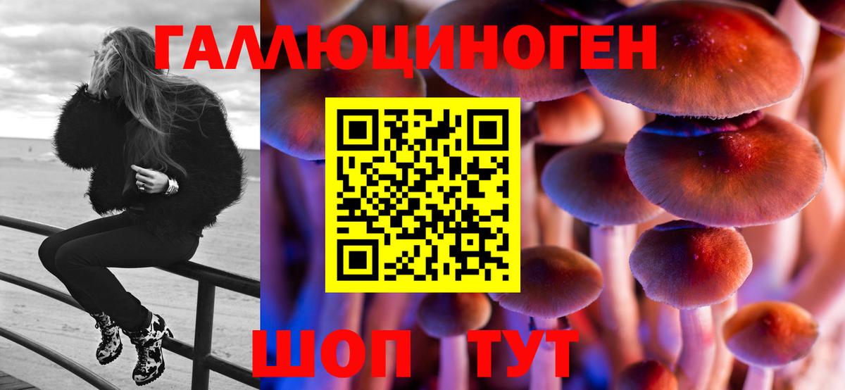 Псилоцибиновые грибы Psilocybine cubensis Волгодонск